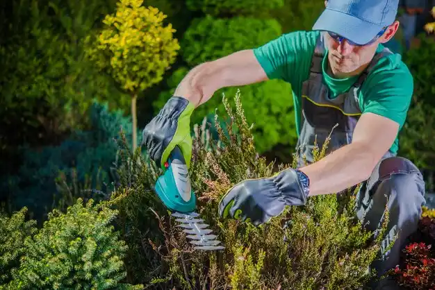 landscaping services Kent